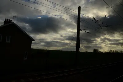 DSC_7172 (Large).JPG